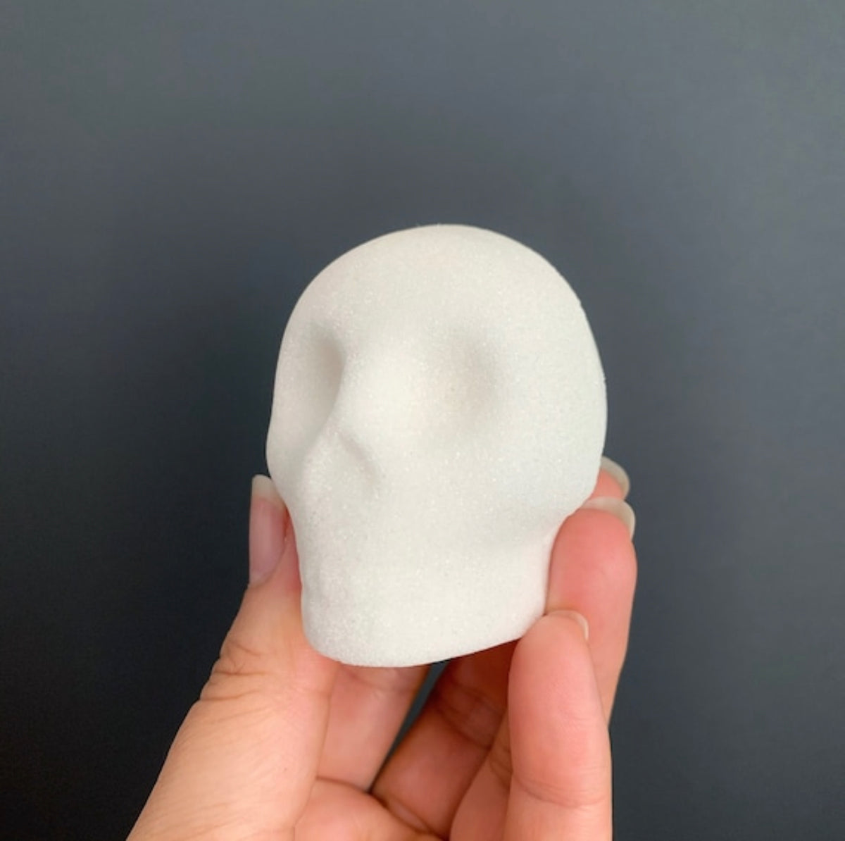 Hand holding a white blank sugar skull against a dark background