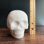 Large 3D Blank Sugar Skull