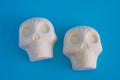 Large Flat Back Big Eyes Sugar Skulls Set of 2