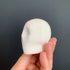 Sugar Skull Kit | Small DIY Decorating Kit with Royal Icing