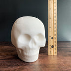 Sugar Skull Variety Kit with Icing